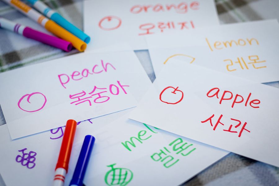 bilingual flash cards in English and Korean